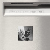 ホワイトテリアアンドキャット共有ザラブ マグネット (インサイチュ (食洗機))