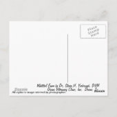 ホワイトテールの子鹿 ポストカード (裏面)