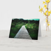 「ホワイトテールウッズウォークウェイ」 回復祝いカード カード (黄色い花)