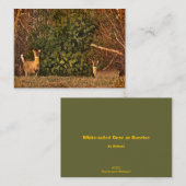 ホワイトテールディアアットサンライズATC 名刺 (正面/裏面)