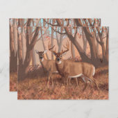 ホワイトテールディアインフォレストレトロスタイル自然 (正面/裏面)