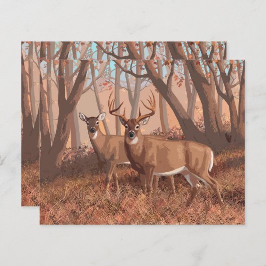 ホワイトテールディアインフォレストレトロスタイル自然 (正面/裏面)