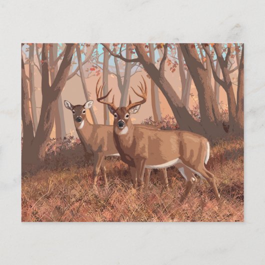 ホワイトテールディアインフォレストレトロスタイル自然 (裏面)