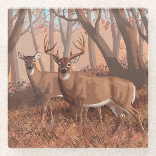 ホワイトテールディアインフォレストレトロスタイル自然 ガラスコースター (正面)