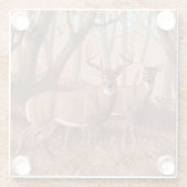 ホワイトテールディアインフォレストレトロスタイル自然 ガラスコースター (裏面)