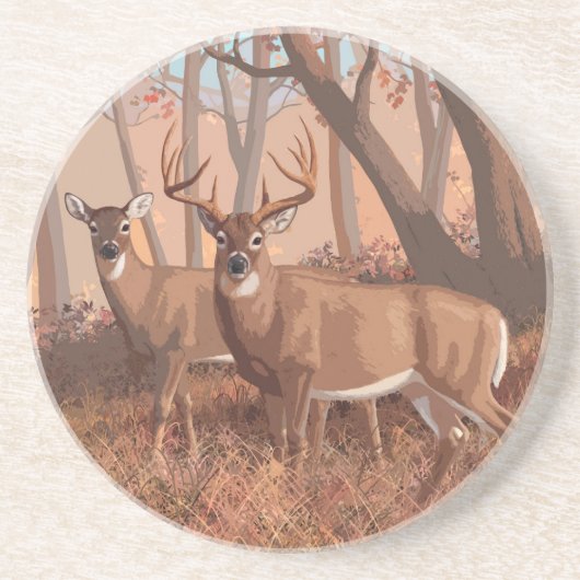 ホワイトテールディアインフォレストレトロスタイル自然 コースター (正面)