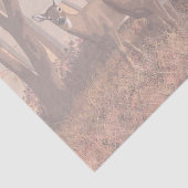 ホワイトテールディアインフォレストレトロスタイル自然 薄葉紙 (詳細)