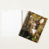 ホワイトテールディアウィークリー/月次プランナー プランナー手帳 (ディスプレー)