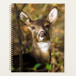ホワイトテールディアウィークリー/月次プランナー プランナー手帳