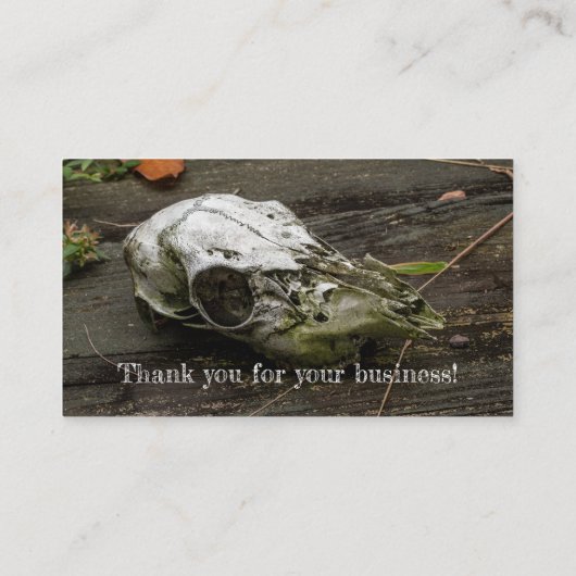 ホワイトテールディアスカル名刺 名刺 (裏面)