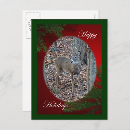 ホワイトテールディアスパイクバックハッピーホリデーズシリーズ シーズンポストカード (正面/裏面)