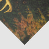 ホワイトテールディアトロフィーバック狩り 薄葉紙 (詳細)