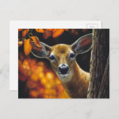 ホワイトテールディアドー顔紅葉 ポストカード (正面/裏面)