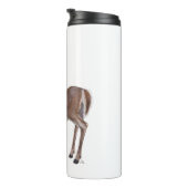 ホワイトテールディアバック タンブラー (回転右)