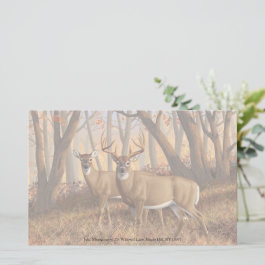 ホワイトテールディアバック&ドエオータムメープルウッズ 便箋 (スタンド正面)