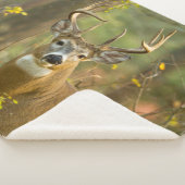 ホワイトテールディアバック |ホワイトフィッシュ（モンタナ） シェルパブランケット (3/4)