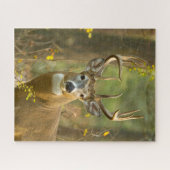 ホワイトテールディアバック |ホワイトフィッシュ（モンタナ） ジグソーパズル (横)