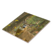 ホワイトテールディアバック |ホワイトフィッシュ（モンタナ） タイル (側面)