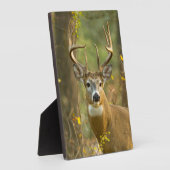 ホワイトテールディアバック |ホワイトフィッシュ（モンタナ） フォトプラーク (側面)