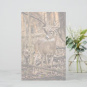 ホワイトテールディアバック 便箋 (スタンド正面)