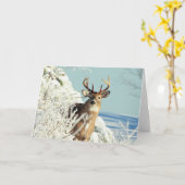 ホワイトテールディアビッグバック冬のシーン カード (黄色い花)