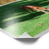 ホワイトテールディアフォトコラージュ フォトプリント            (角)