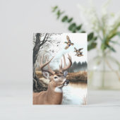 ホワイトテールディアーとマラルドの自然シーン ポストカード (スタンド正面)