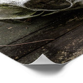 ホワイトテールディアースカル ポスター (角)