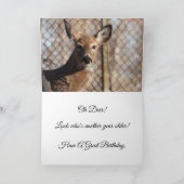 ホワイトテールディアーハッピーバースデー カード (内部)