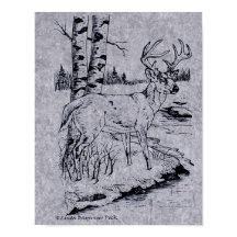 ホワイトテールバックディアインクスケッチクリーク