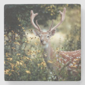 ホワイトテールバックディア素晴らし狩り ストーンコースター (正面)