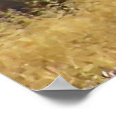 ホワイトテールバックフレームプリント ポスター (角)