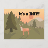 ホワイトテールバックベビー 案内ポストカード (正面)