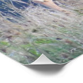 ホワイトテールバック自然ポートレート ポスター (コーナー)