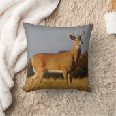 ホワイトテールバック装飾用クッション クッション (ブランケット)