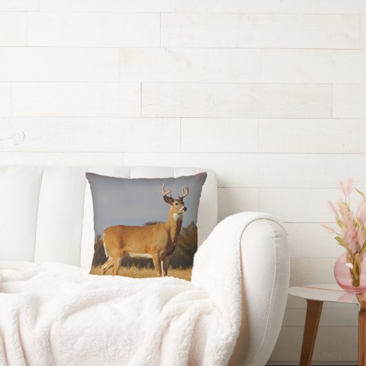 ホワイトテールバック装飾用クッション クッション (ソファ)