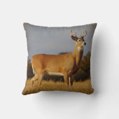 ホワイトテールバック装飾用クッション クッション (裏面)