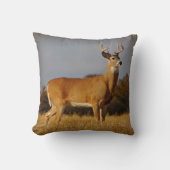 ホワイトテールバック装飾用クッション クッション (正面)