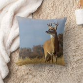 ホワイトテールバック装飾用クッション クッション (ブランケット)