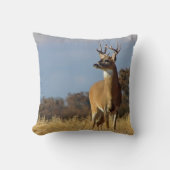 ホワイトテールバック装飾用クッション クッション (正面)