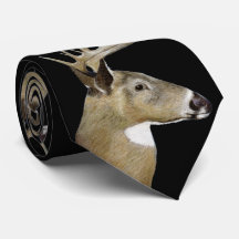 ホワイトテールバック