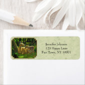 ホワイトテールファウンとドウライトグリーン ラベル (インサイチュ)