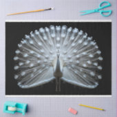 ホワイトテール・ピーコックの切り離 薄葉紙 (クラフト)