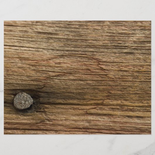 ホワイトデイジーとバーンウッドランチ結婚のメニュー (裏面)