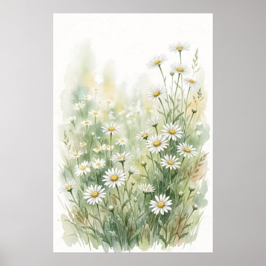 ホワイトデイジーの野の花の水彩画 ポスター (正面)