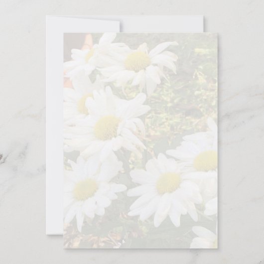 ホワイトデイジーイエロー金ゴールドスクリプトボーHo春の結婚式 招待状 (裏面)