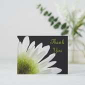 ホワイトデイジーオンブラックサンキュー ポストカード (スタンド正面)
