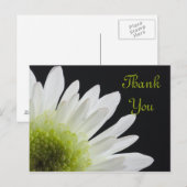 ホワイトデイジーオンブラックサンキュー ポストカード (正面/裏面)