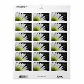 ホワイトデイジーオンブラック結婚ズサンキューメッセージカード ラベル (フルシート)