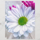 ホワイトデイジースクラップブック紙 (正面/裏面)